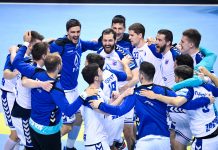 PPD Zagreb se pobjedom protiv Nexea plasirao u finale SEHA lige