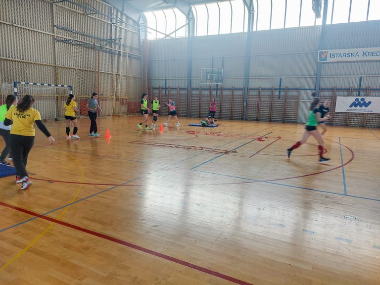 Okupljanje Istarske 1