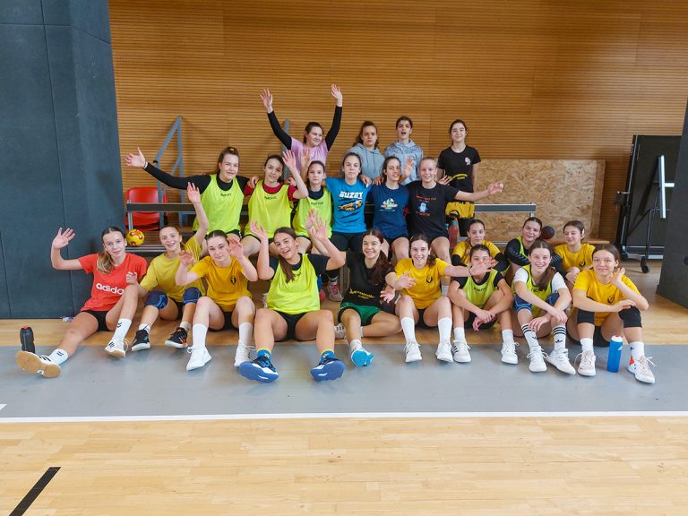 Okupljanje Istarske 4